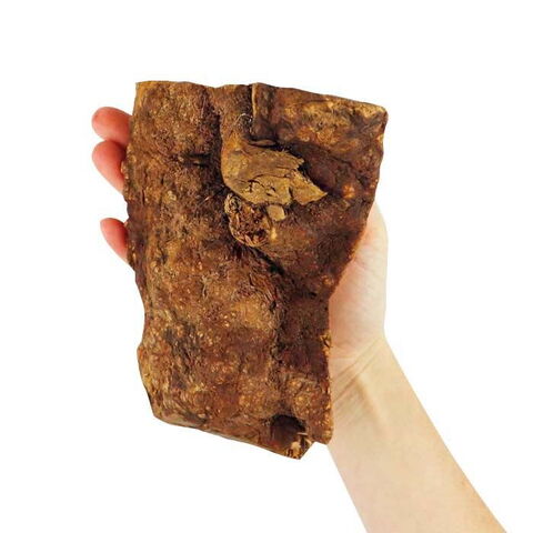 NATURBEN | Tyggerod I Large