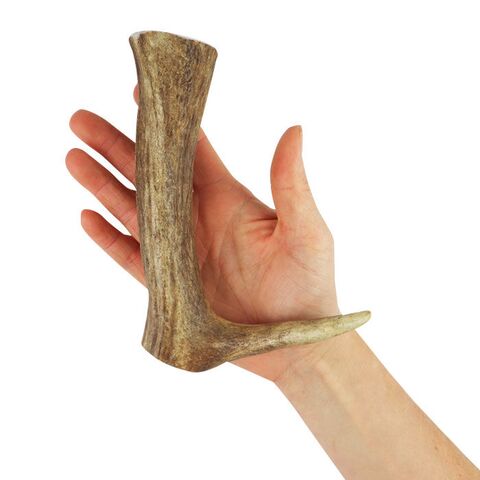 NATURBEN Hjortegevir I Large