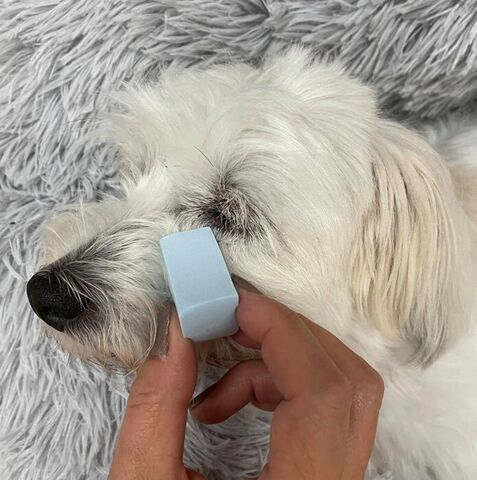 Ollipet eye sponge | 12 stk i dåse