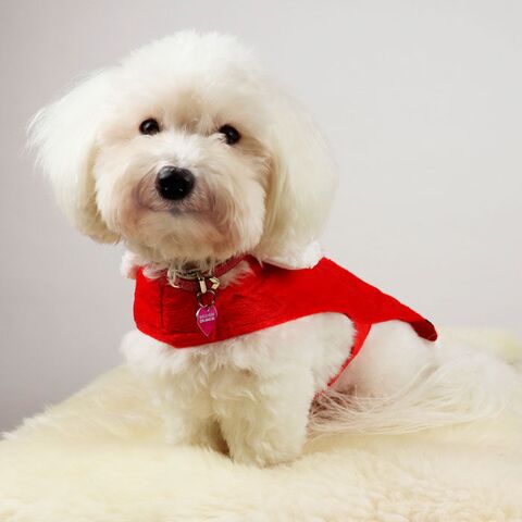 Julemandstøj til hund