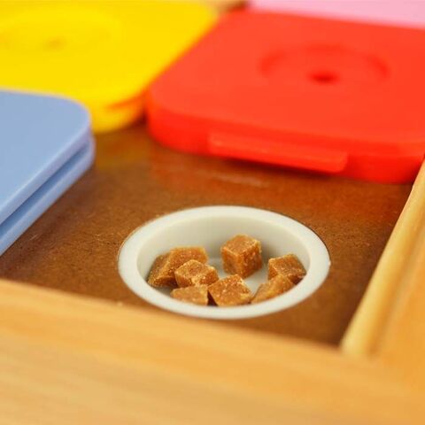 Dog SUDOKU Medium Genie Color | Niveau 4