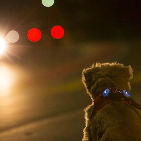 Curli Luumie LED safety lights | 2 stk