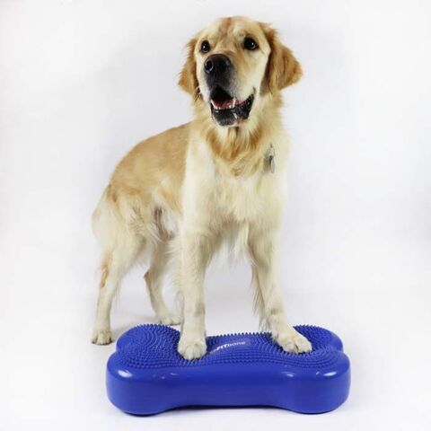 K9FITbone I Træningsmulighederne er mange