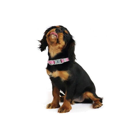 Ollipet Macaron Halsbånd