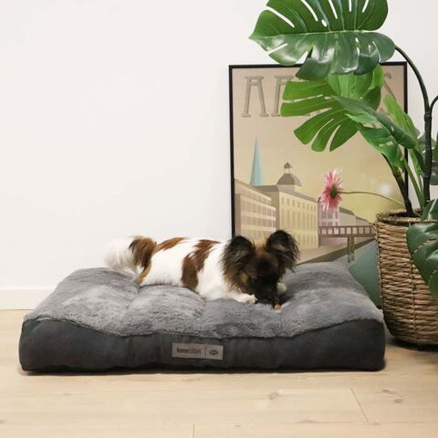 Liano Luksus Hundepude I Wilma ligger i en small