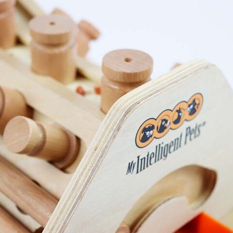 My intelligent Pets I Pyramide | Niveau 4