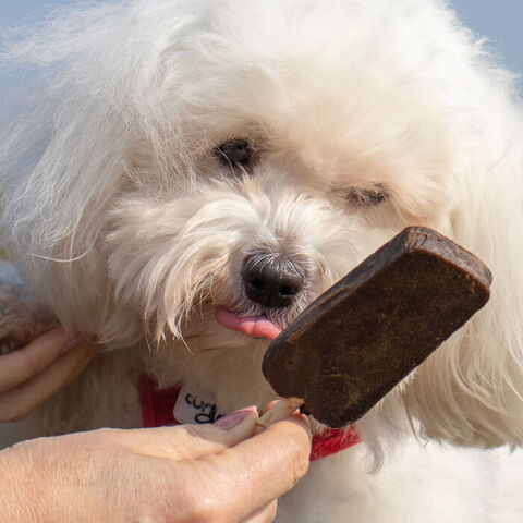 Dentafun hundeis Chicken Pop | Lever