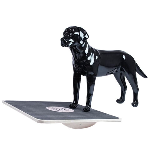 Ollipet DogFit Wood Serie - Firkantet Balancebræt