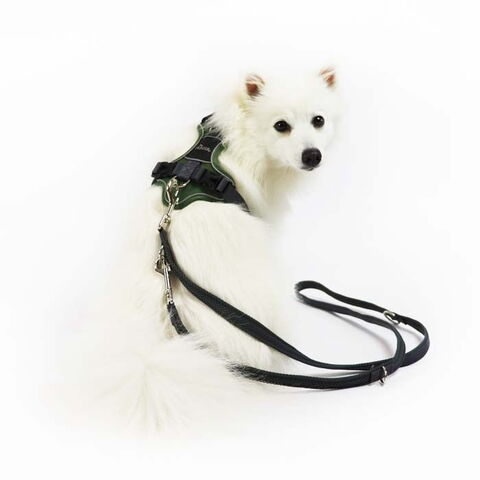 Hunter Divo Hundesele I Suri bruger størrelse Medium