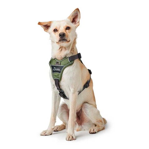 Hunter Divo Hundesele