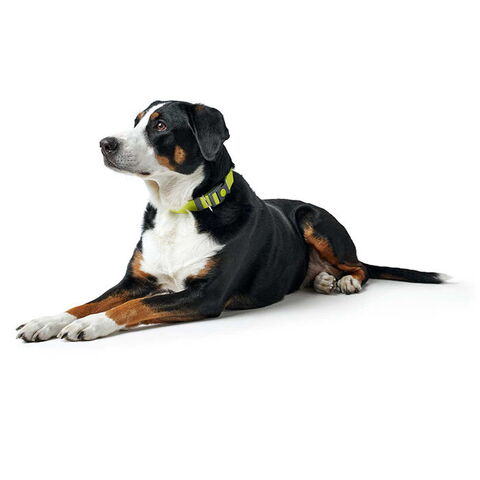 Hunter London Vario Plus Halsbånd