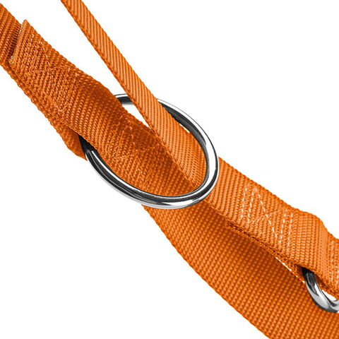 Hunter London Dressurline