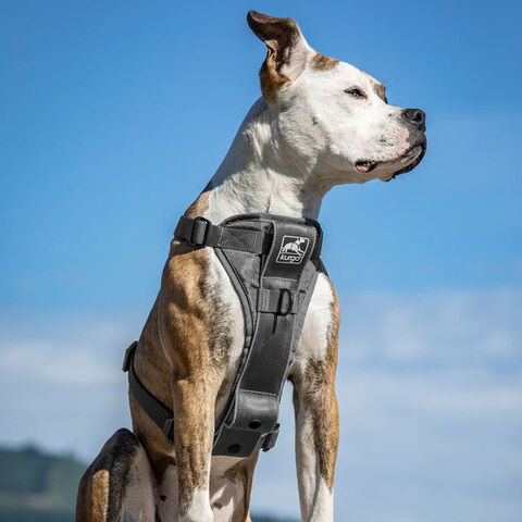KURGO Tru-fit Sele Smart Hundesele