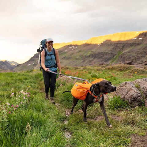 Ruffwear Approach Pack