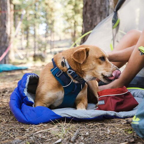 Ruffwear Front Range Halsbånd I Blue Moon