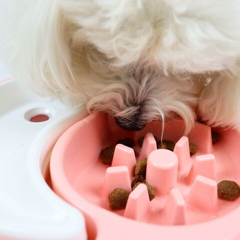 Ollipet Mad/Vandskål Yin Yang I med antispild vandbeholder