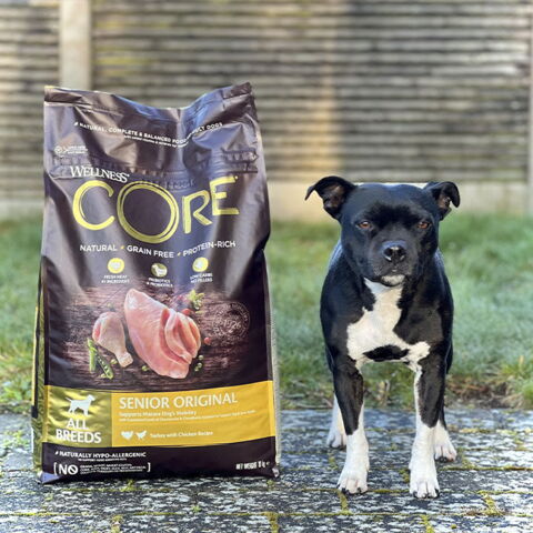 CORE Senior Original