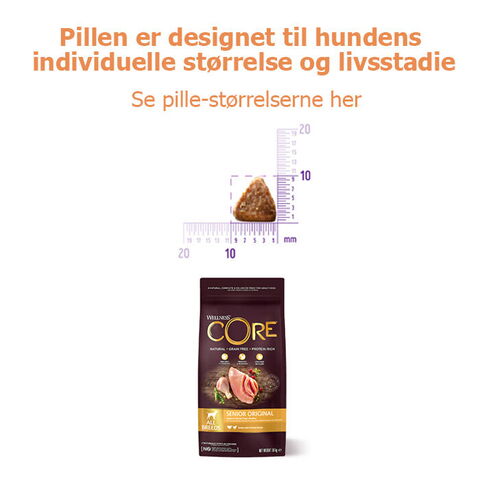 CORE Senior Original