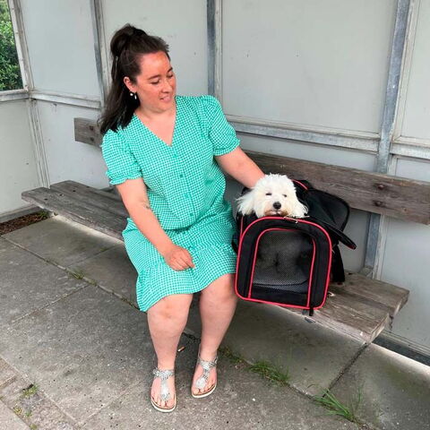 Ollipet Madrid rejsetaske med skulderstrop