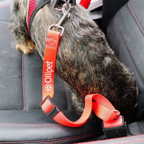Ollipet Sikkerhedssele Til Bil - Rød