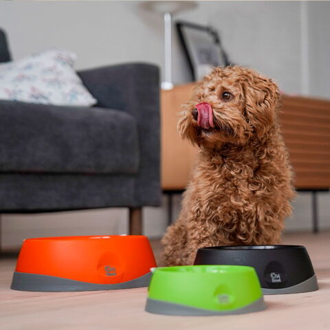 LickiMat OH Bowl & Kenzo