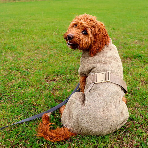 SICCARO Smart Tørredragt | Elmwood | Cody bruger str. 40-45