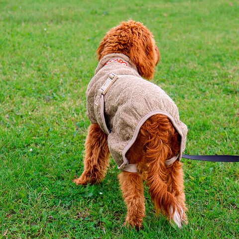 SICCARO Smart Tørredragt | Elmwood | Cody bruger str. 40-45