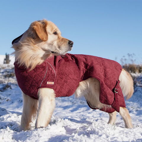 SICCARO Solution Tørredragt | Zinfandel | Carlos bruger str. 60-65