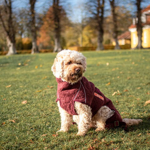 SICCARO Solution Tørredragt | Zinfandel