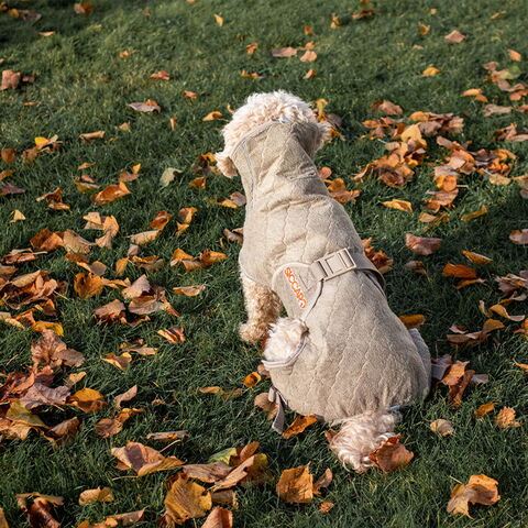 SICCARO Solution Tørredragt | Elmwood