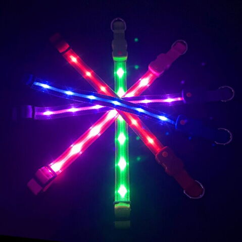 LED-halsbånd til hunde i flere farver og størrelser