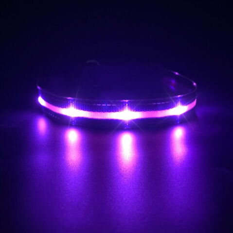 LED-halsbånd til hunde i flere farver og størrelser