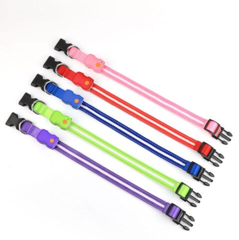 LED-halsbånd til hunde i flere farver og størrelser