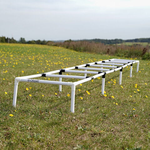 Ollipet DogFit Agility Serie Ladder