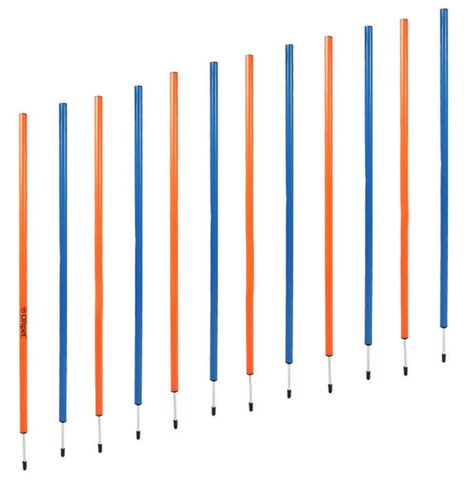 Ollipet DogFit Agility Serie Slalompinde | 12 stk