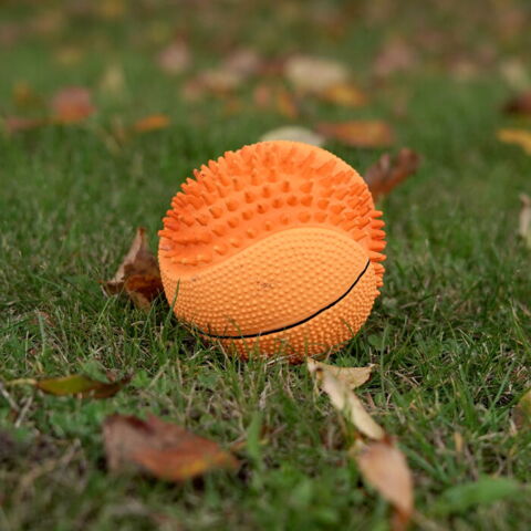 Ollipet Natur Latex Basketbold