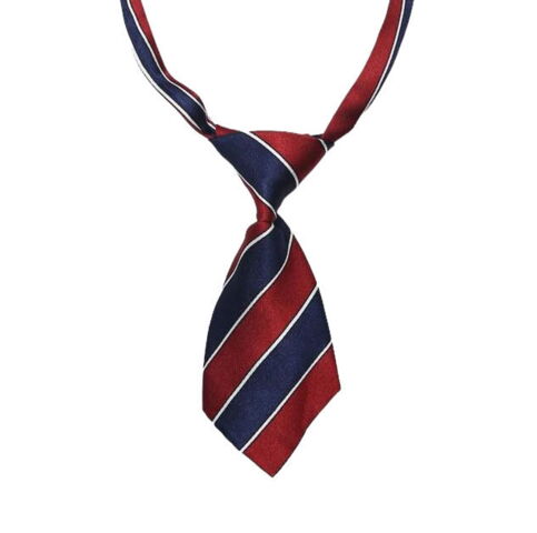 Hundeslips m. Mønster