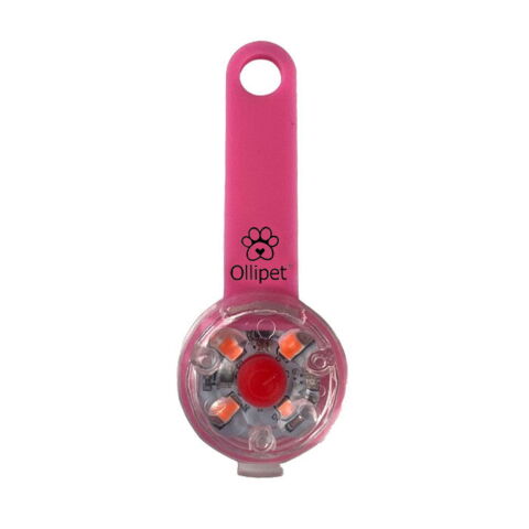 Ollipet LED Light in the dark