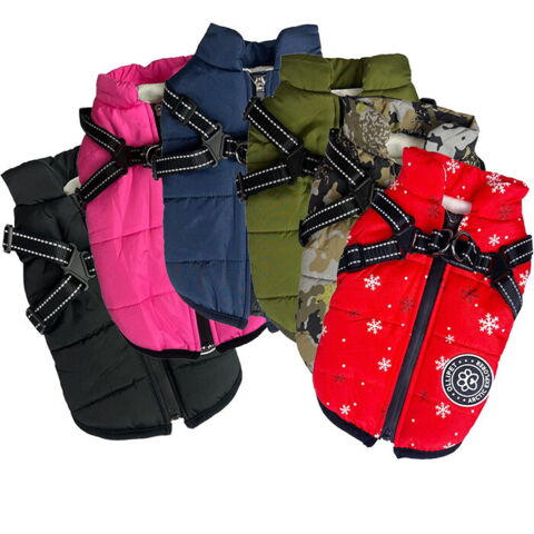 Ollipet Arctic Explorer | Vinterdækken