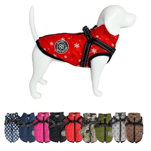 Ollipet Arctic Explorer | Vinterdækken