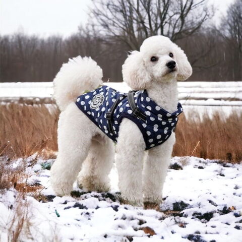 Ollipet Arctic Explorer | Vinterdækken m. fleecefór | Koda bruger str. XL