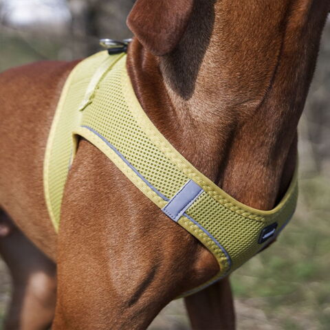 Ozami Air Mesh Step-In Sele