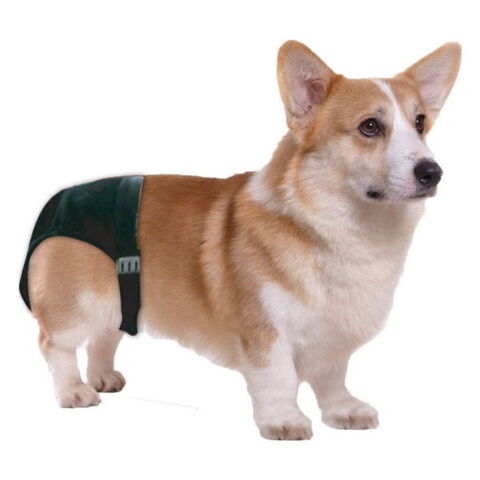 Pawise løbetidsbukser