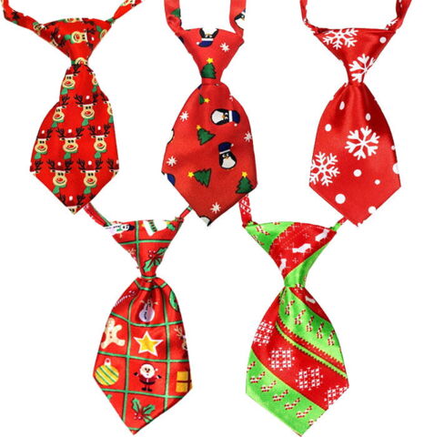 Silke Juleslips til hunde