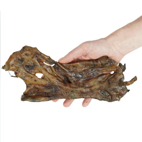 Snack'it Store Hestehudsplade