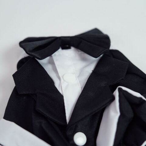 Smoking til hunde | Den knappes lukket