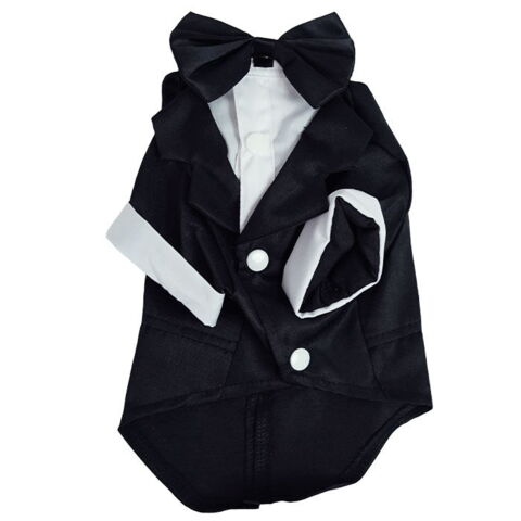 Smoking til hunde | Bryst