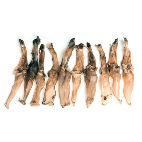 Kaninøre 1kg | STORKØB