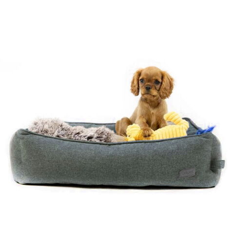 Ollipet Kenya hundeseng Koksgrå