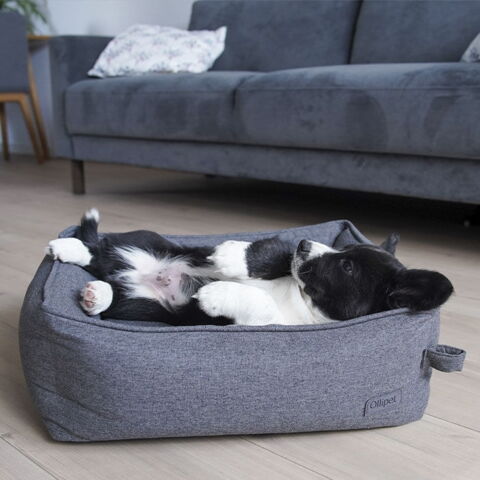 Ollipet Kenya Hundeseng Koksgrå | str. S